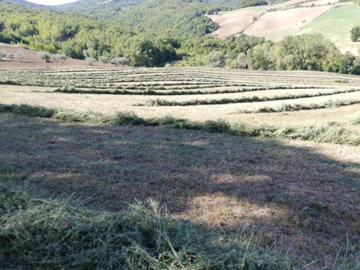 Villa Casa A Montebello Di Bertona Con Vista Gran Sasso Exterior foto
