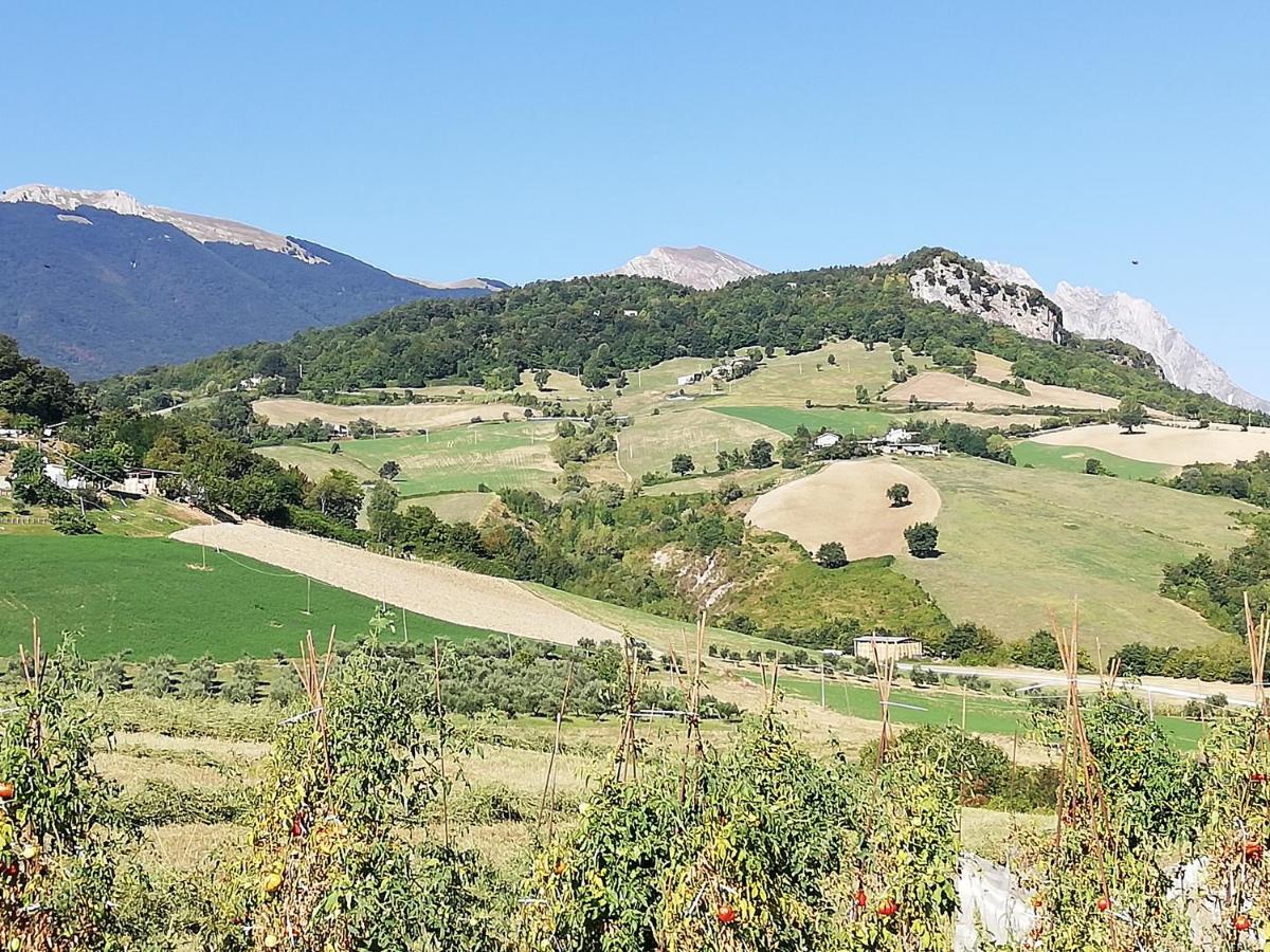 Villa Casa A Montebello Di Bertona Con Vista Gran Sasso Exterior foto