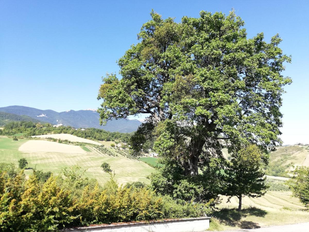 Villa Casa A Montebello Di Bertona Con Vista Gran Sasso Exterior foto